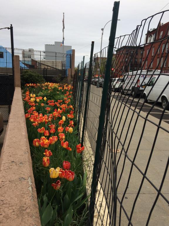 Vakb Apartments New York Bagian luar foto